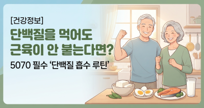 [건강정보] 단백질을 먹어도 근육이 안 붙는다면? 5070 필수 ‘단백질 흡수 루틴’ 🥩